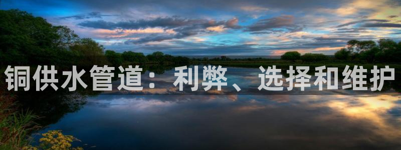 球友会app网址