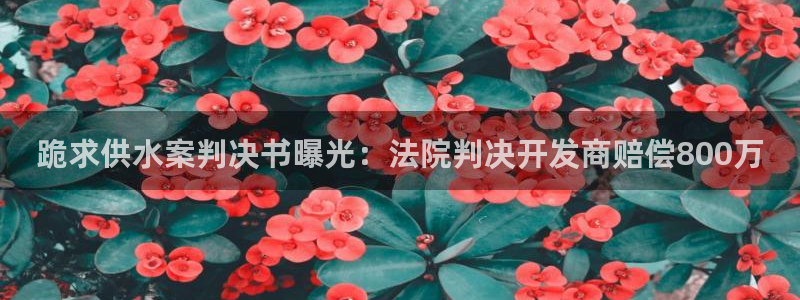 QY球友会官网