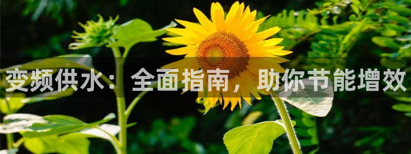 球友会链接