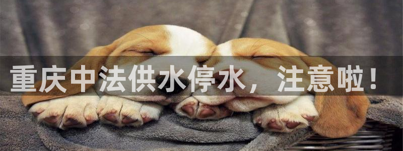 球友会体育app下载安卓