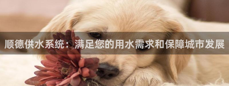 球友会官方网站下载