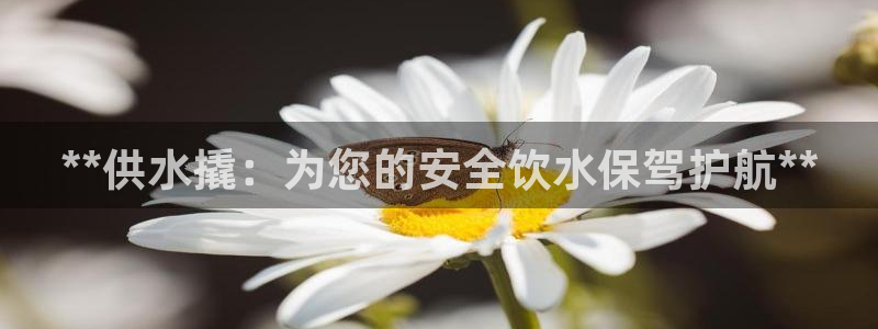 球友会app