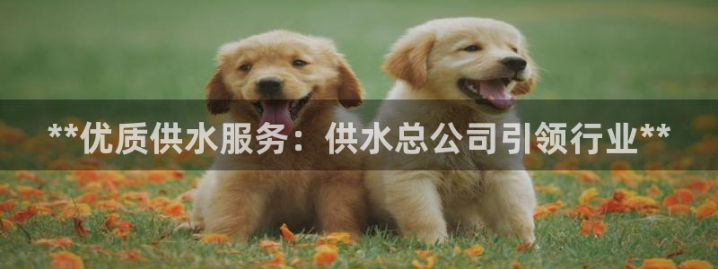 球友会app