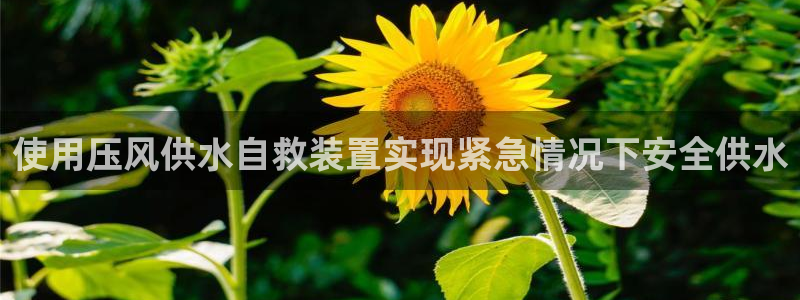 球友会英文怎么说呢翻译