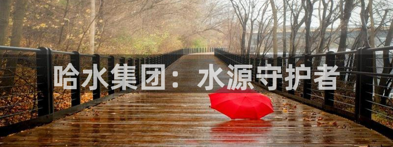 球友会联赛