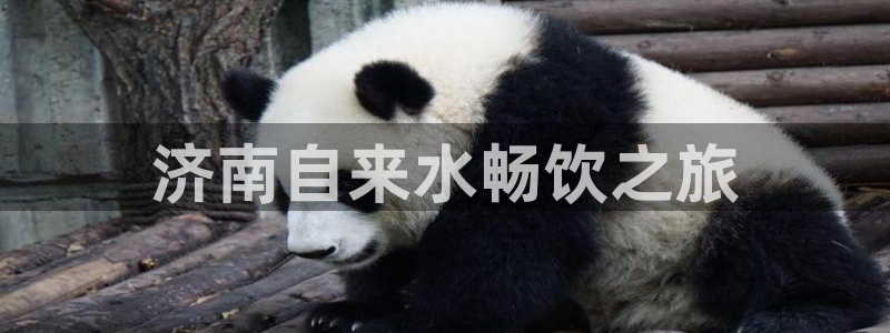 qy球友会体育官网下载