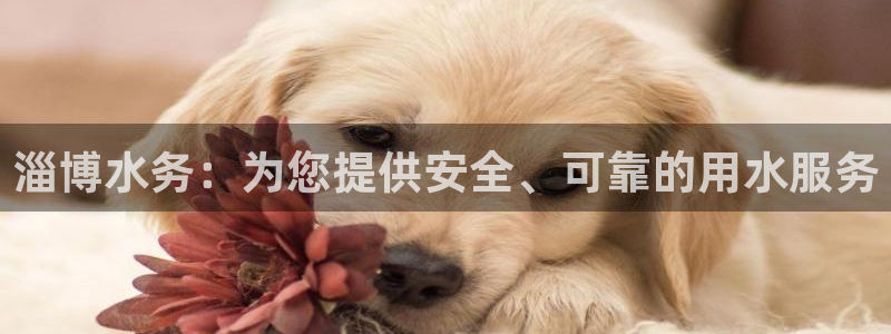 球友会提款不到账