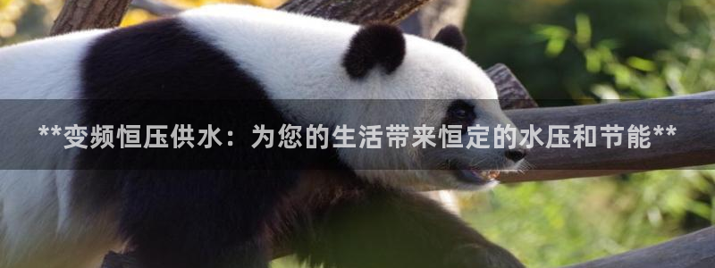球友会体育app下载官网