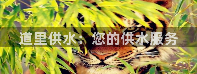 球友会app安全吗可靠吗是真的吗