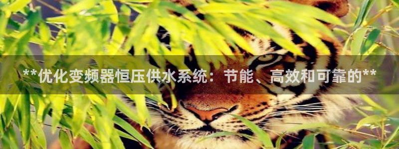 球友会开户礼金在哪领