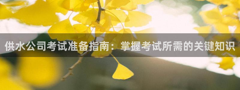 球友会比赛结果查询系统