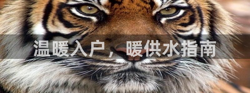 球友会能提现吗