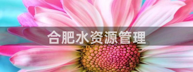 球友会赛程