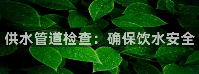 球友会qy