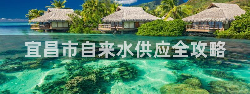 球友会友谊赛赛程