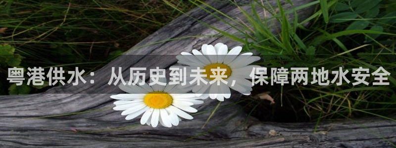 球友会破解码