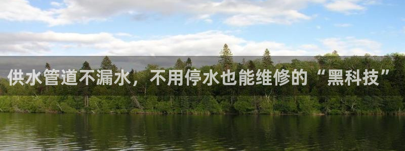球友会官网入口网址
