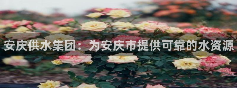 球友会比赛结果查询官网