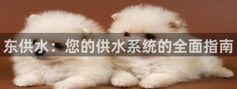 球友会比赛结果查询官网