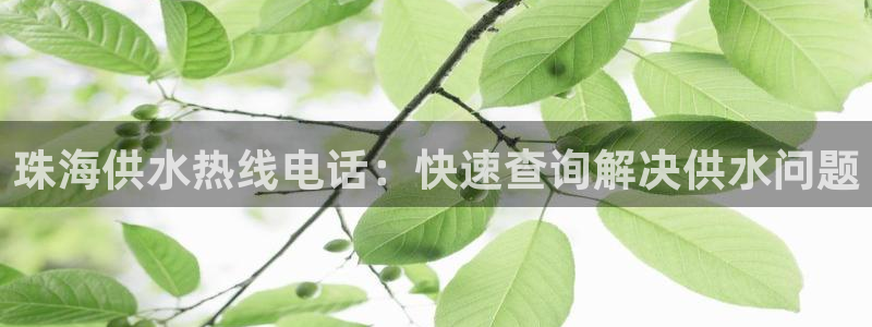 球友会体育app下载官网苹果
