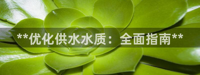 QY球友会