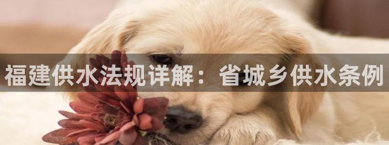 球友会App
