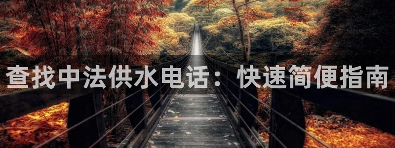 球友会曼联赛事