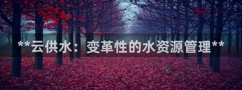 球友会提款审核