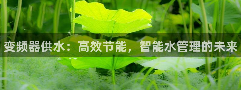 球友会体育app下载安卓手机