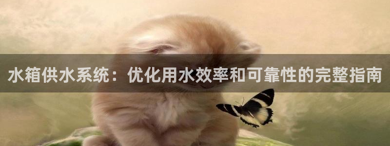 球友会app干啥的呀
