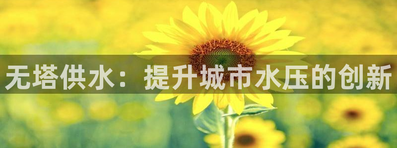 QY球友会