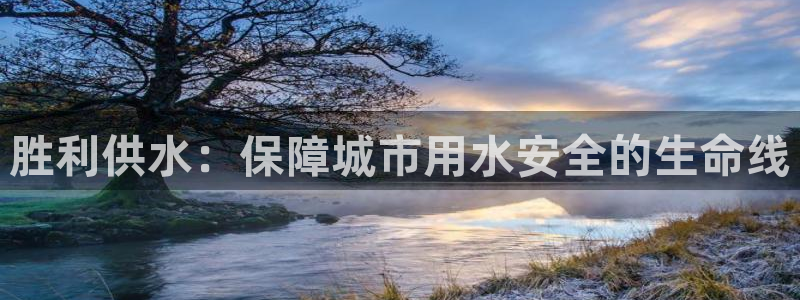 球友会体育app下载官网安卓
