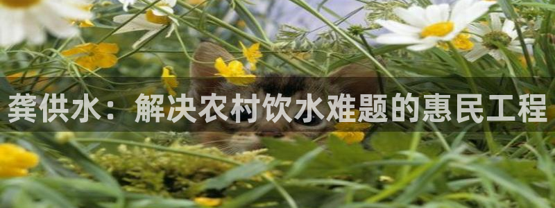 球友会软件