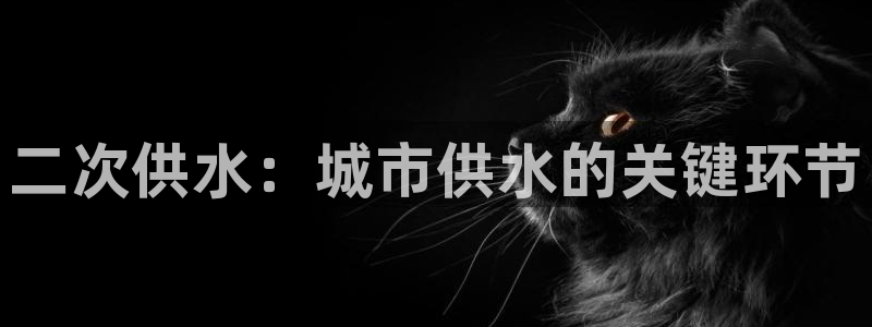 球友会官方网站下载