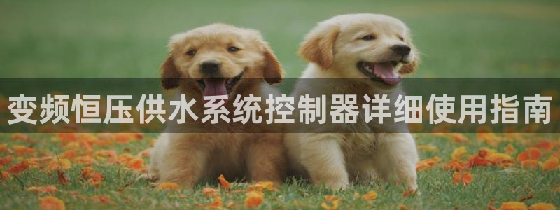 球友会聚餐发言