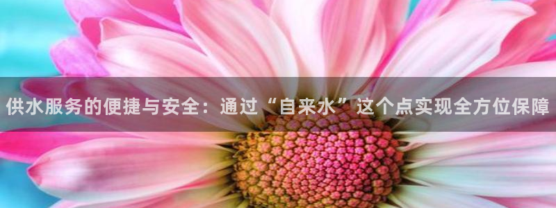 球友会网站多少钱一个