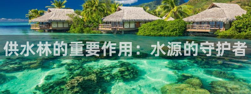 球友会官网入口