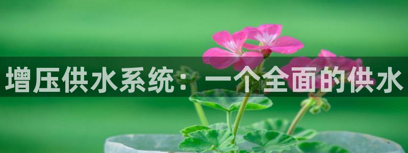 球友会提款不到账