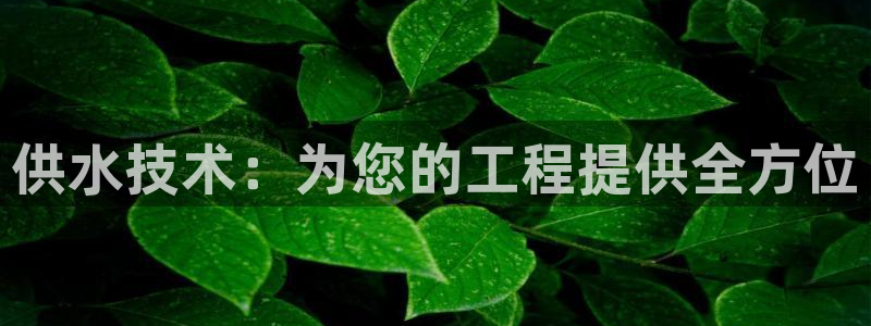 球友会是什么