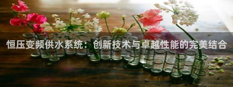 qy球友会体育怎么样