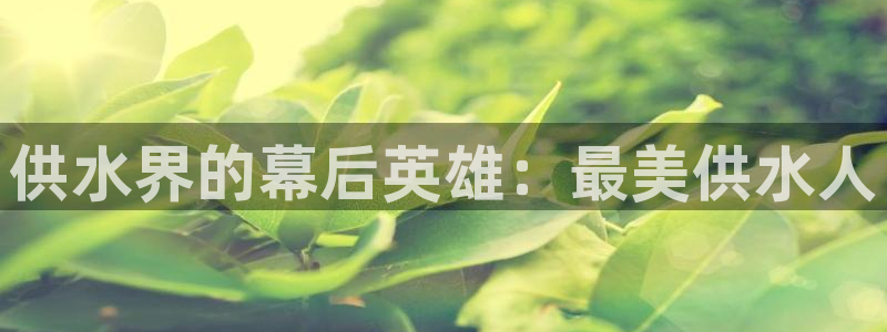 qy球友会体育官网下载