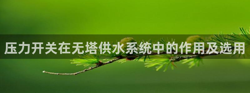 球友会比赛结果查询