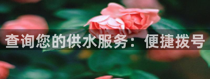球友会骂客服封号