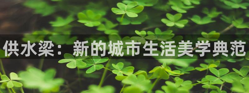 qy球友会体育官方平台
