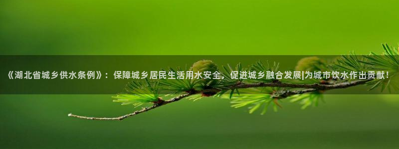球友会网站多少