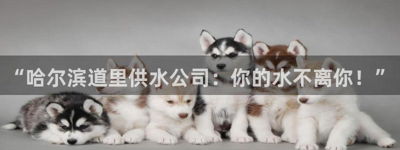 qy球友会体育官网下载