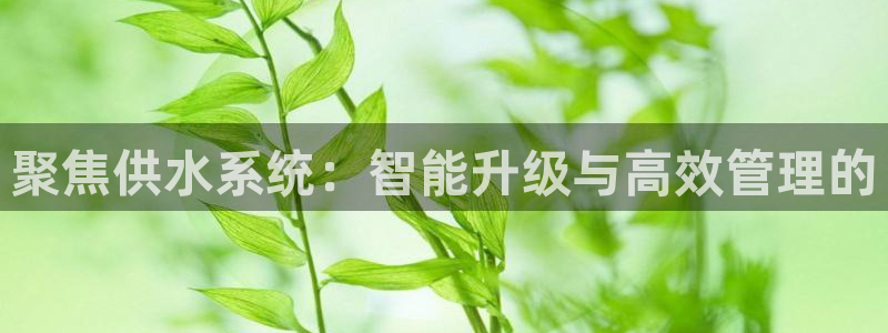 球友会英文怎么说呢翻译