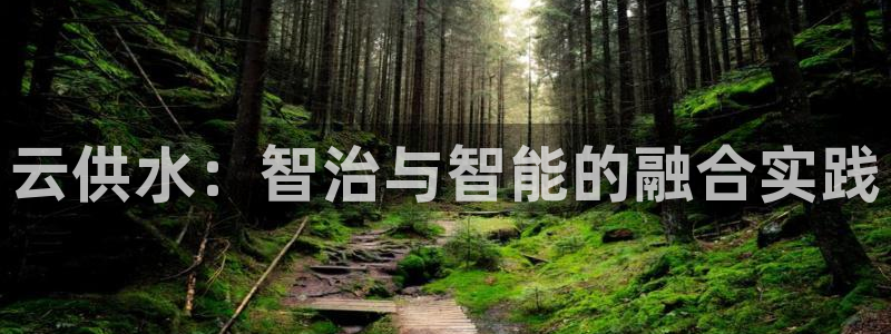 球友会网站多少