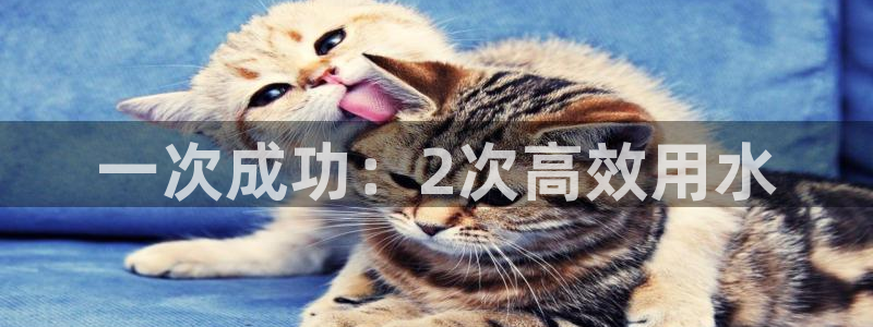 球友会比赛结果查询系统