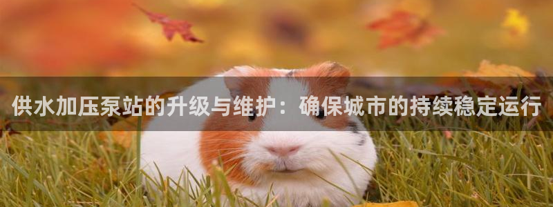 球友会在线登录账号吗